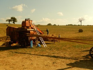belforte (35)